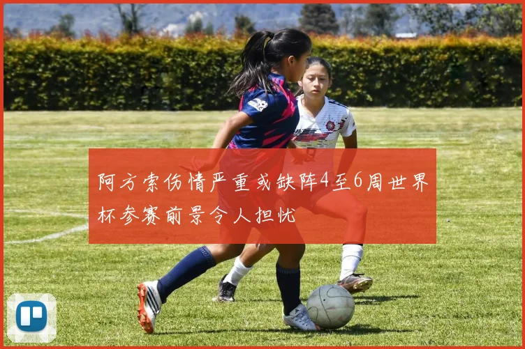 阿方索伤情严重或缺阵4至6周世界杯参赛前景令人担忧