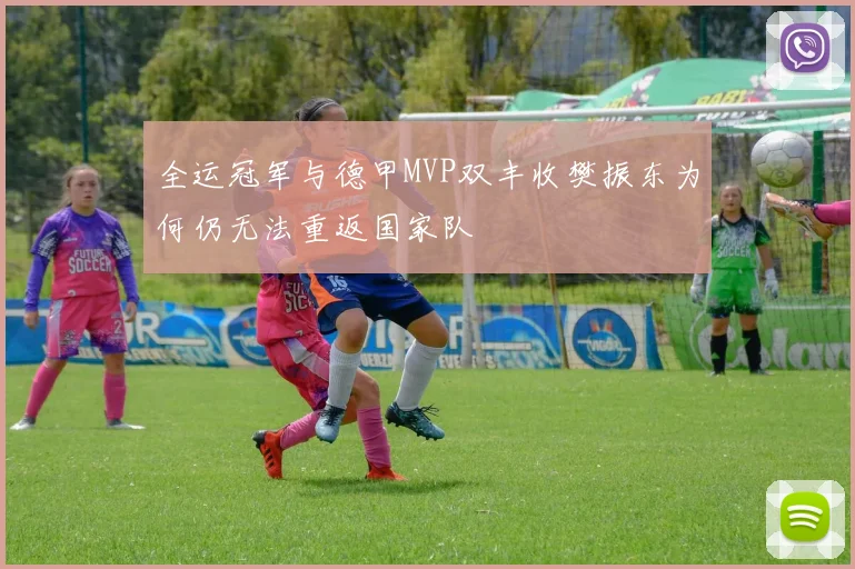 全运冠军与德甲MVP双丰收樊振东为何仍无法重返国家队