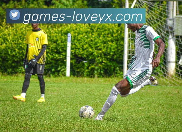 狼队困境深重英超17轮未尝胜绩如何重振球队信心与斗志